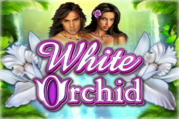 White Orchid Demo Slot